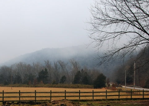 Southern Mornin