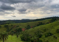 Brazil