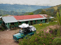 Decaf - Colombia