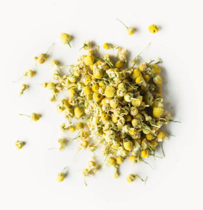 Golden Chamomile Blossoms